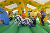 /album/fotogalerie-relaxpark-pec-bobova-draha-a-prolezacky-lemurie/relaxpark-pec-lemurie3-jpg/